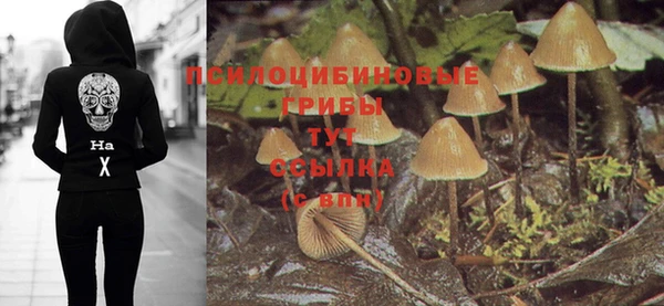 твердый Семёнов