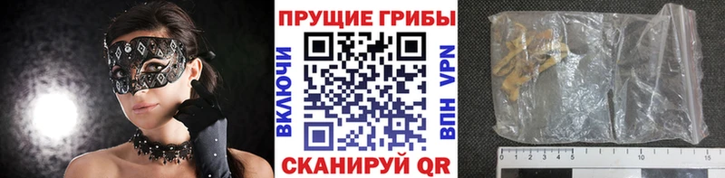 Псилоцибиновые грибы мицелий Оренбург