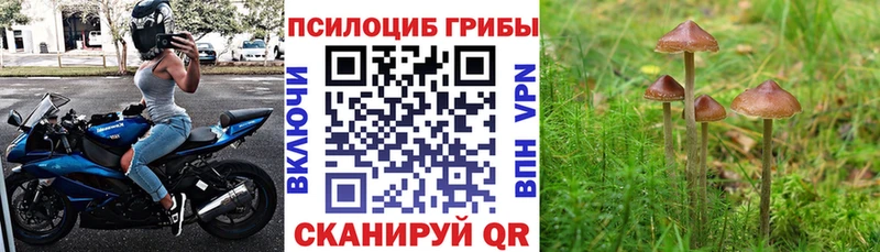 Псилоцибиновые грибы Magic Shrooms  Купить закладки  Оренбург 